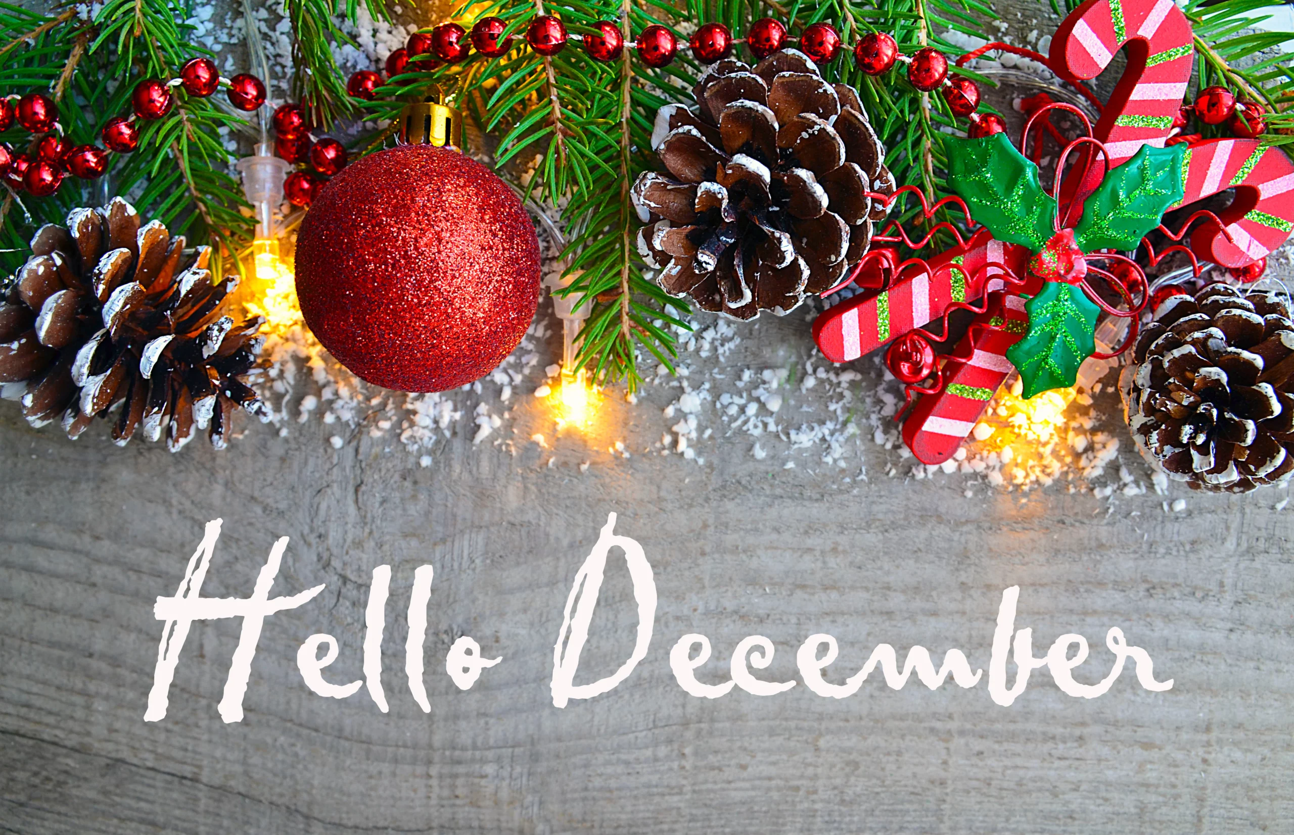 Blog 4 December Newsletter by The Park Medspa in Highland Park, NJ